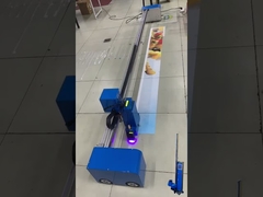 다기능 평면 다양한 표면 UV 프린터